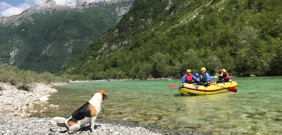 Soča rafting