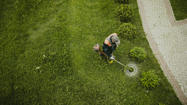 Profesionalne motorne žage Stihl